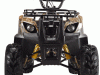 ata-110cc-d-front-view