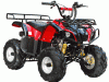 ata-110cc-d-red