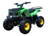 125-d-green