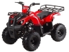 ata_125_d_red