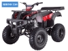 rhino-250-red-spider