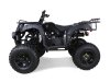 TAO_Motors_Bull150_profile_black