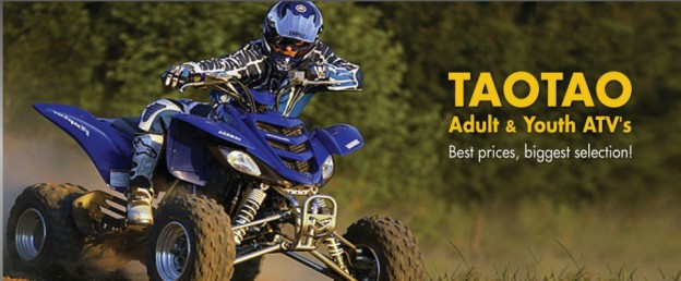 Tao Tao ATV APS